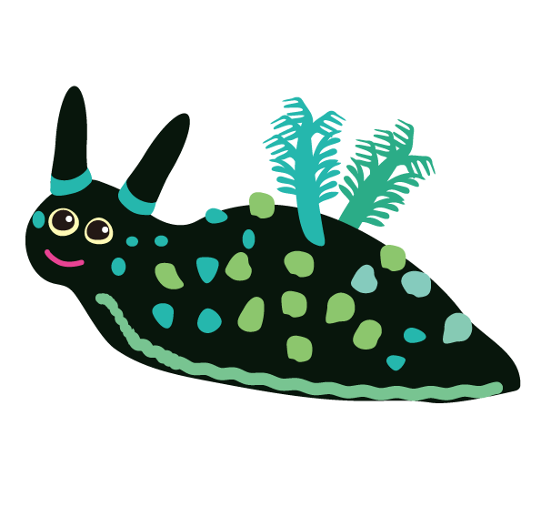 Sea Slug Characterfun