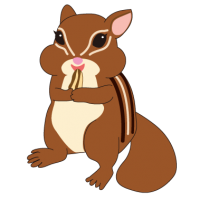 かわいいシマリス　Chipmunk・Squirrel