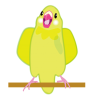Inco インコ　可愛い小鳥　セキセイインコ　Happy parrot