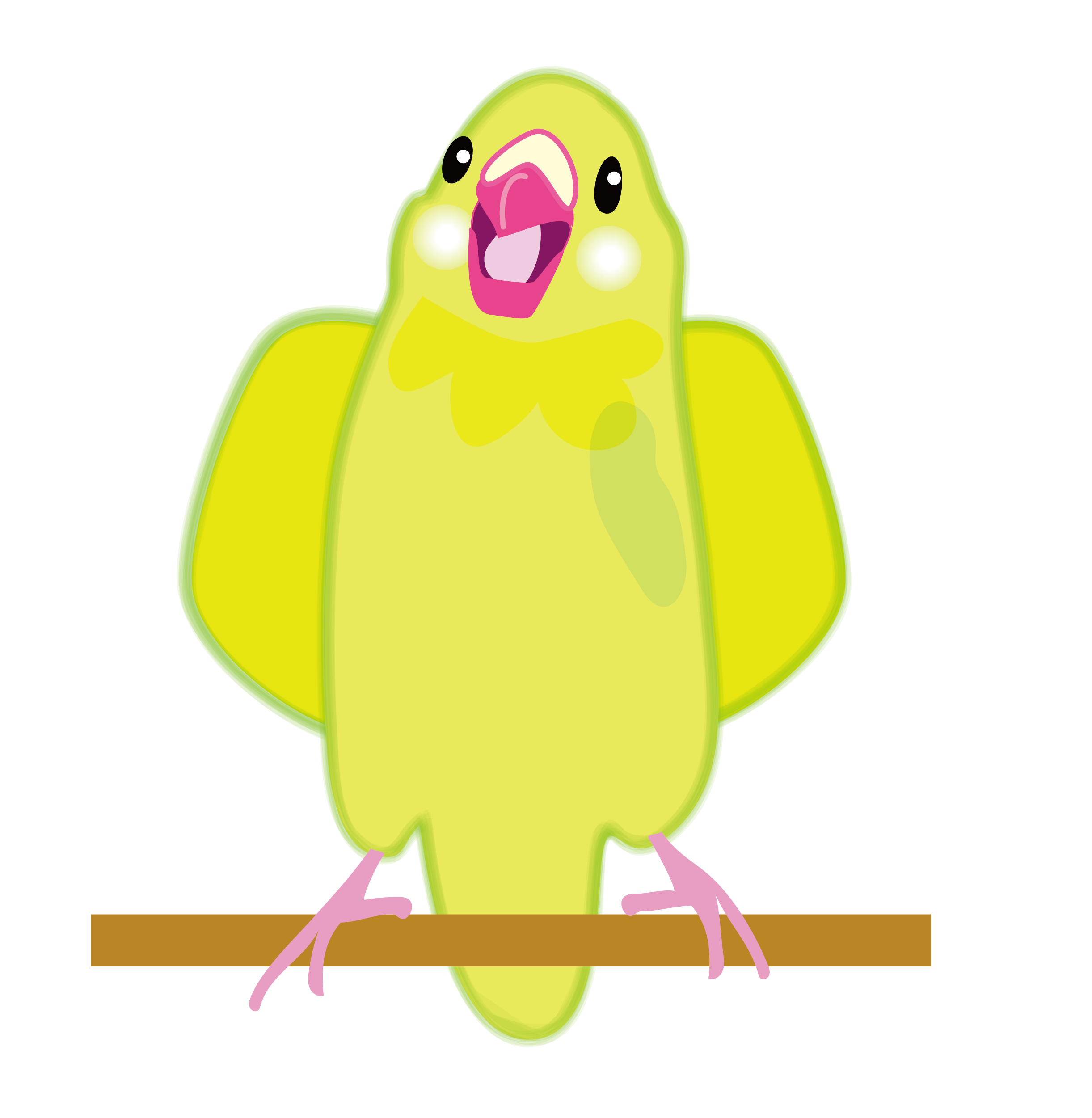 Inco インコ 可愛い小鳥 セキセイインコ Happy Parrot Characterfun